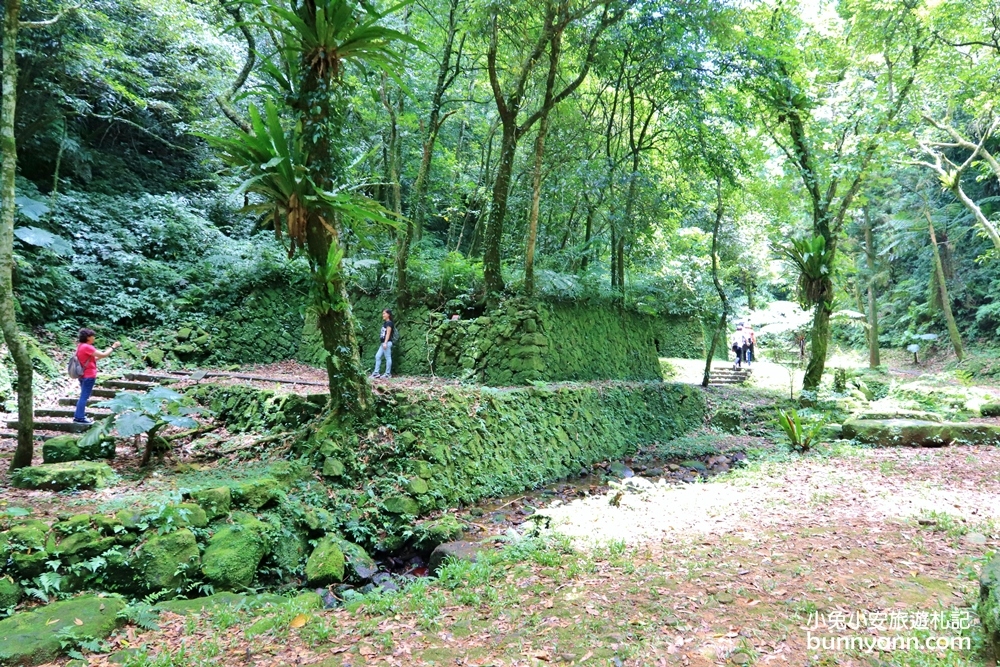 禾煦熊空休閒農場｜遠的要命山頂茶園咖啡館路況資訊總整理