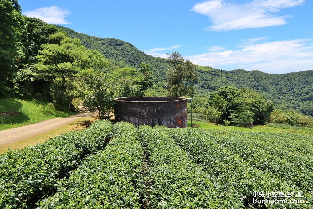 禾煦熊空休閒農場｜遠的要命山頂茶園咖啡館路況資訊總整理