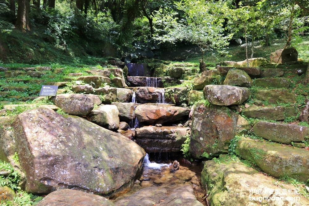 禾煦熊空休閒農場｜遠的要命山頂茶園咖啡館路況資訊總整理