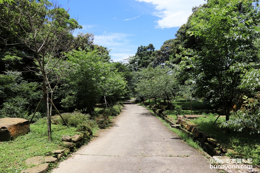 禾煦熊空休閒農場｜遠的要命山頂茶園咖啡館路況資訊總整理
