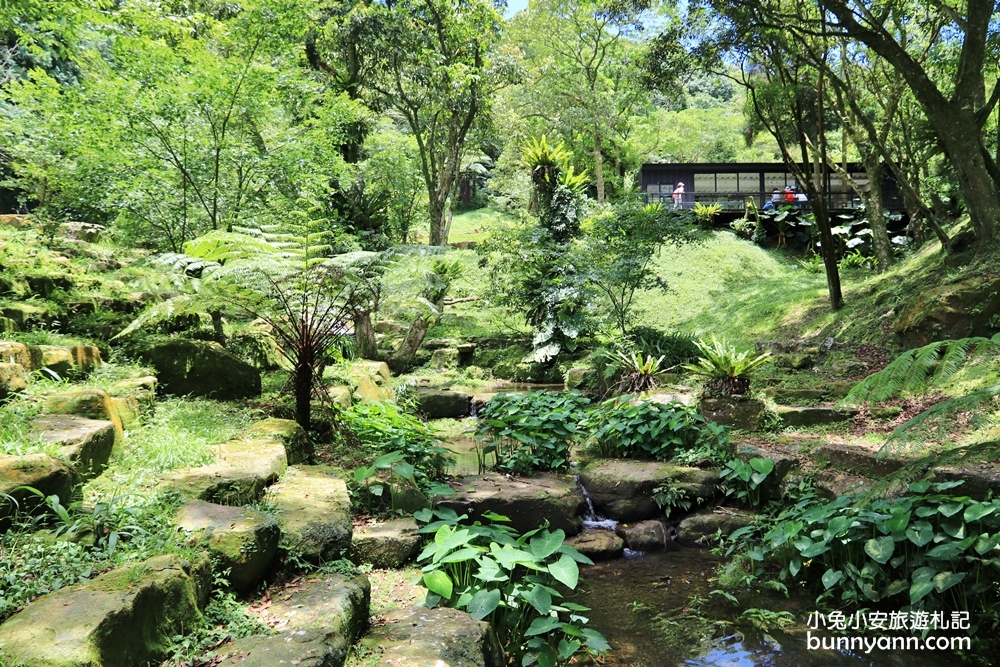 禾煦熊空休閒農場｜遠的要命山頂茶園咖啡館路況資訊總整理