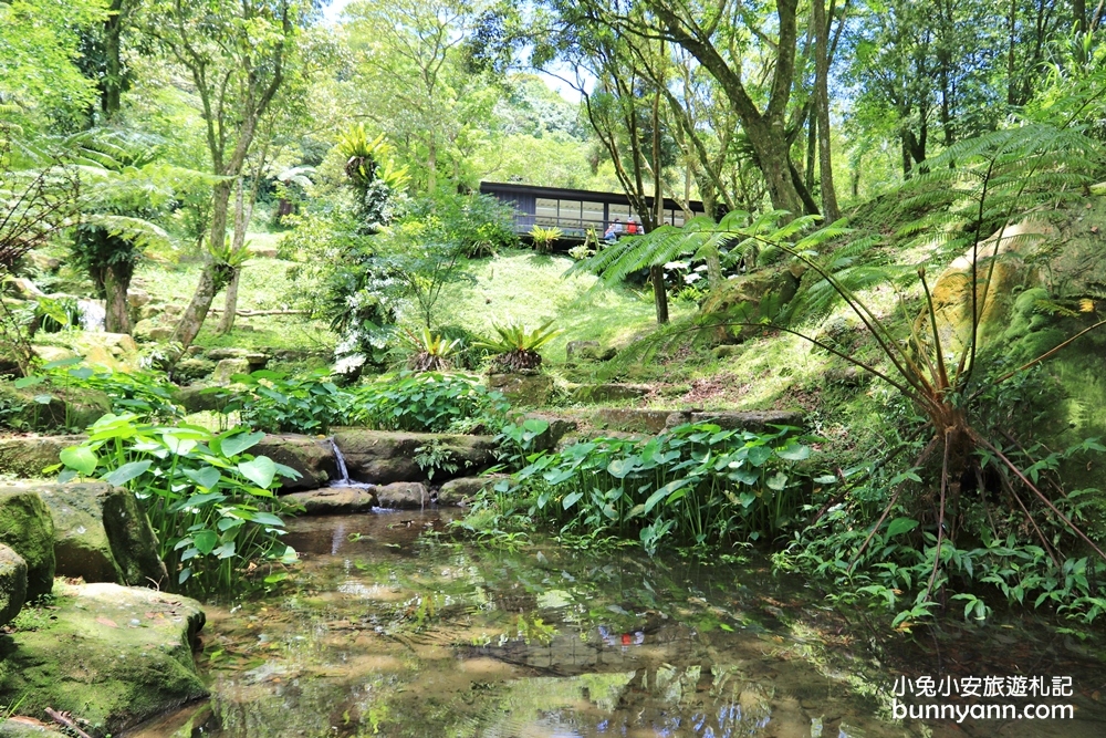 禾煦熊空休閒農場｜遠的要命山頂茶園咖啡館路況資訊總整理