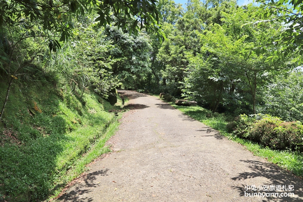 禾煦熊空休閒農場｜遠的要命山頂茶園咖啡館路況資訊總整理