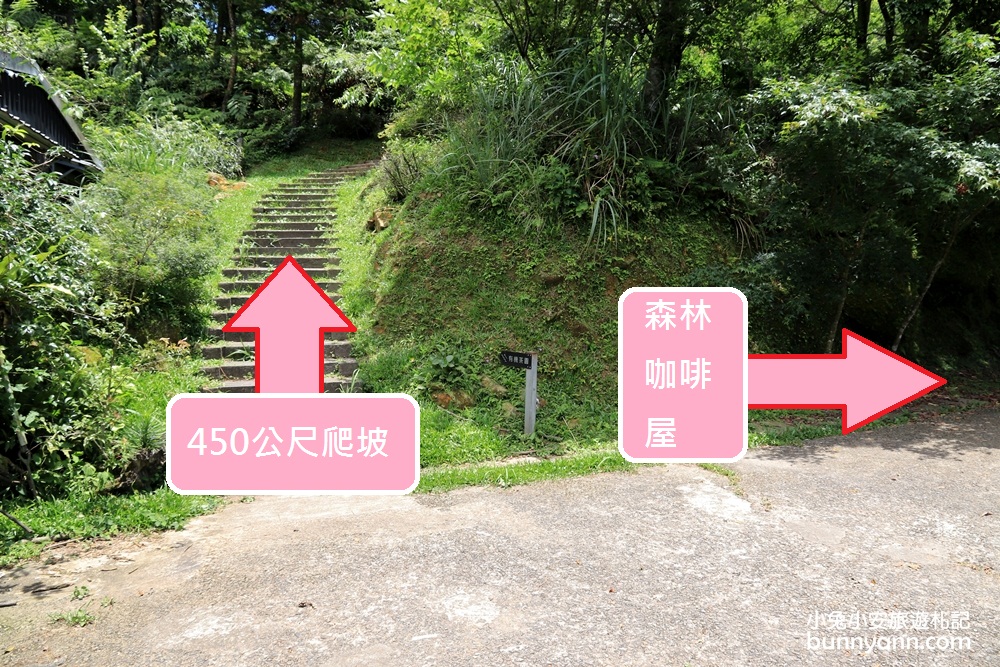 禾煦熊空休閒農場｜遠的要命山頂茶園咖啡館路況資訊總整理
