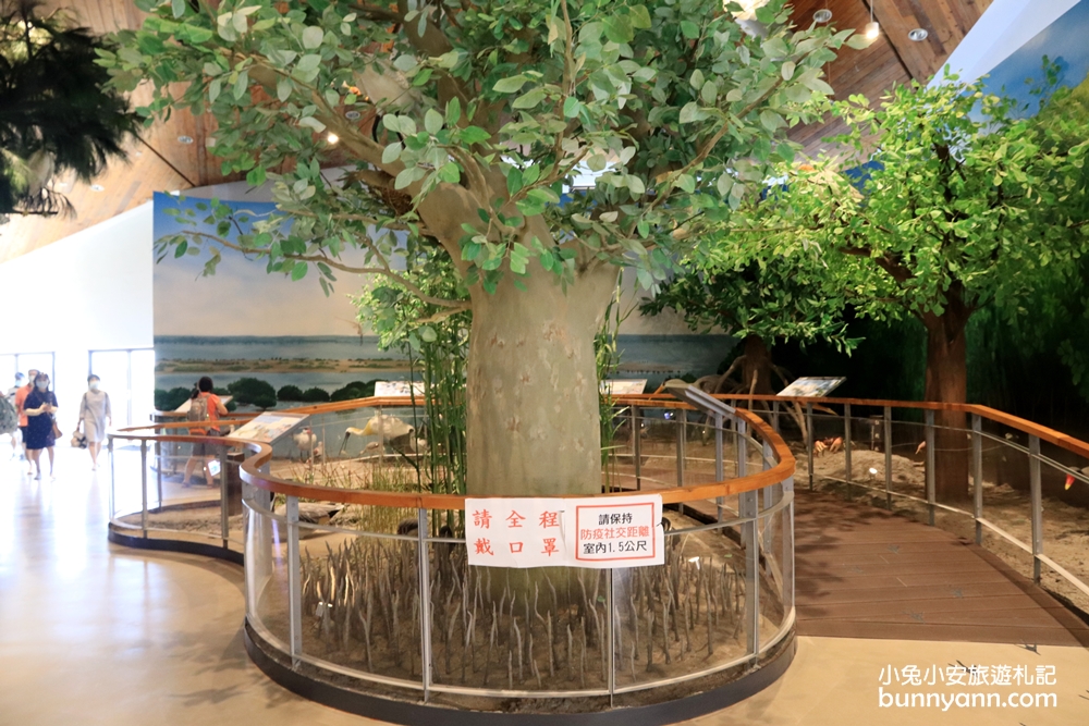 【台江國家公園遊客中心】暢遊水上小白屋、拍照打卡點一次攻略