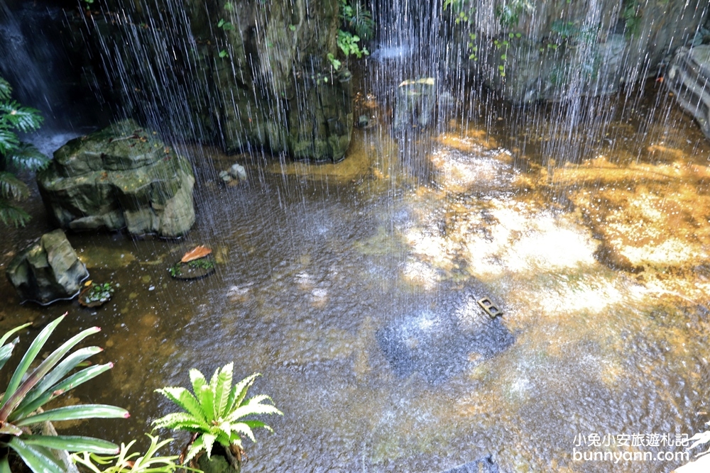 國立自然科學博物館植物園【台中植物園】小亞馬遜雨林一日遊