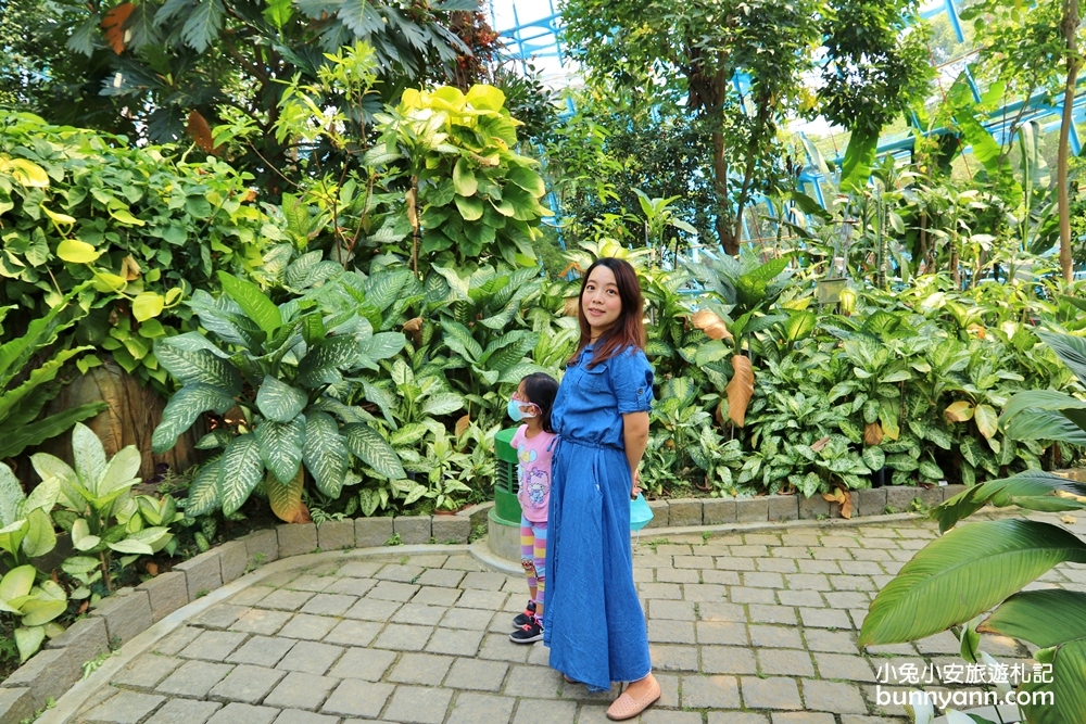 國立自然科學博物館植物園【台中植物園】小亞馬遜雨林一日遊