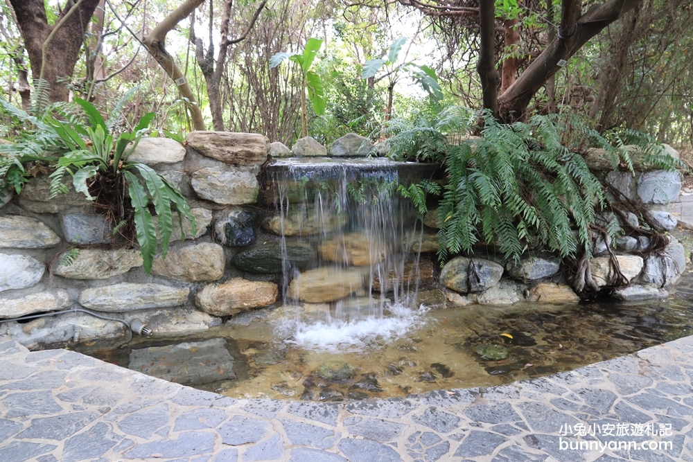 國立自然科學博物館植物園【台中植物園】小亞馬遜雨林一日遊