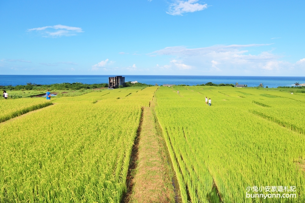 花蓮景點》花蓮新社梯田夢幻盪鞦韆，石門班哨角雙心石，漫步藍天白雲下~