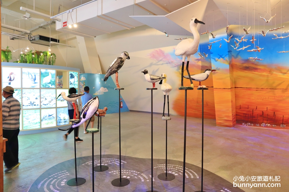 台南七股遊客中心，天空階梯、生態展示館免費逛