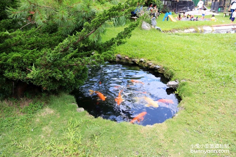 宜蘭農場》愛小動物必收藏！心心農家樂貼近農村生活樂趣，玩水、餵小豬好好玩～
