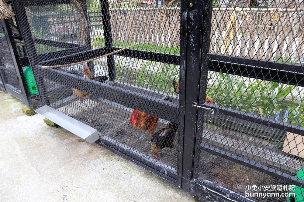 宜蘭農場》愛小動物必收藏！心心農家樂貼近農村生活樂趣，玩水、餵小豬好好玩～