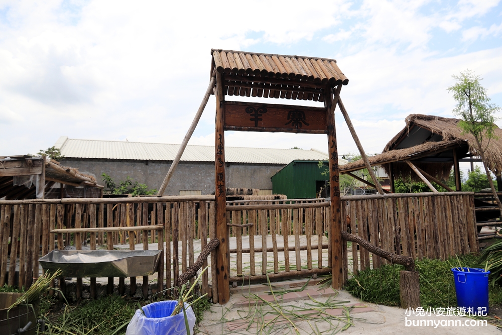 宜蘭農場》愛小動物必收藏！心心農家樂貼近農村生活樂趣，玩水、餵小豬好好玩～