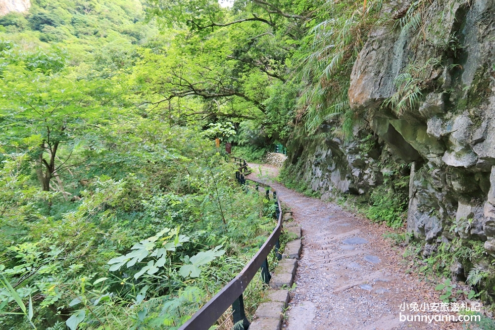 【砂卡礑步道】花蓮絕對美境神秘谷，入門級森林小徑，環境、交通介紹。