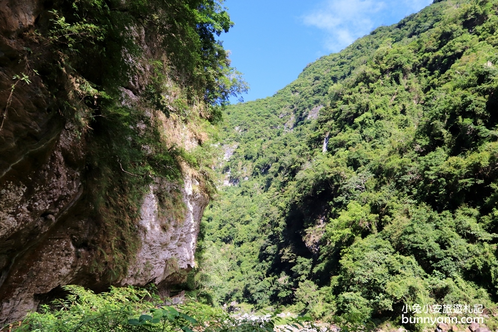 【砂卡礑步道】花蓮絕對美境神秘谷，入門級森林小徑，環境、交通介紹。