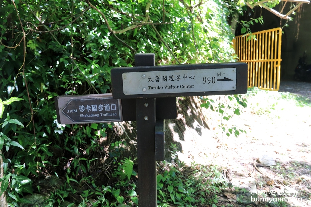花蓮景點小錐麓步道，15分鐘攻略兩條吊橋與太魯閣河谷。