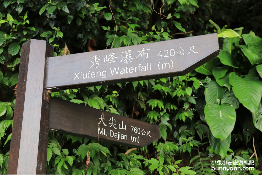 汐止【秀峰瀑布】來回三十分鐘入門級瀑布步道，大尖山自然景點