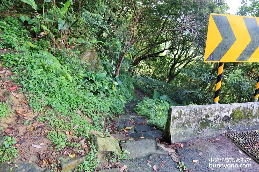 汐止【秀峰瀑布】來回三十分鐘入門級瀑布步道，大尖山自然景點
