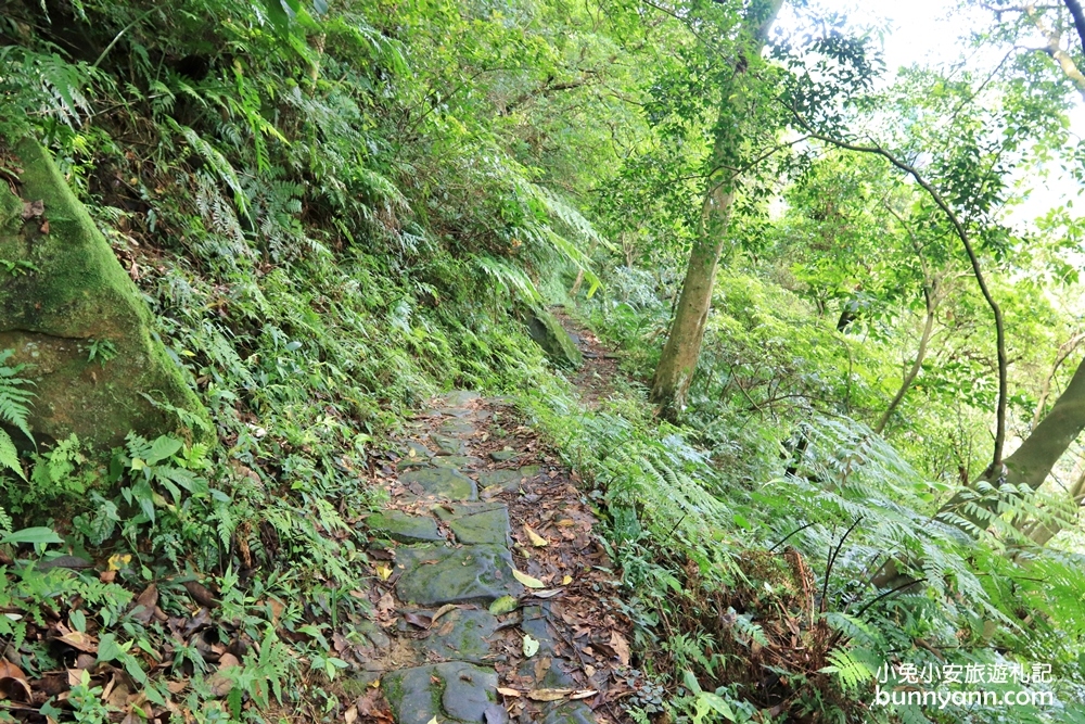 汐止【秀峰瀑布】來回三十分鐘入門級瀑布步道，大尖山自然景點