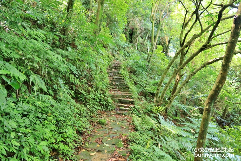 汐止【秀峰瀑布】來回三十分鐘入門級瀑布步道，大尖山自然景點