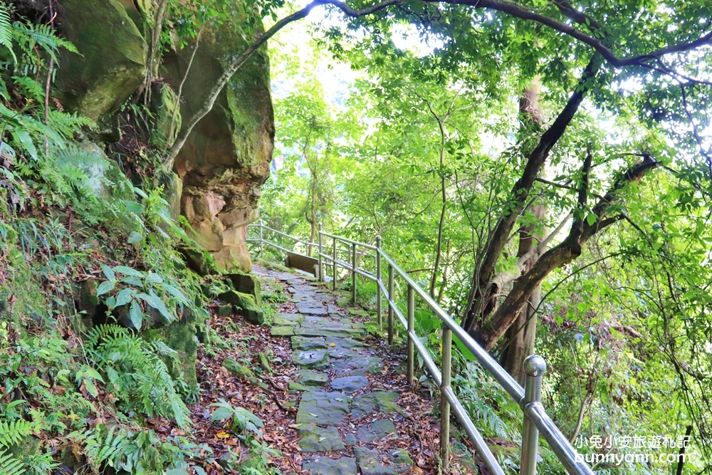 汐止【秀峰瀑布】來回三十分鐘入門級瀑布步道，大尖山自然景點
