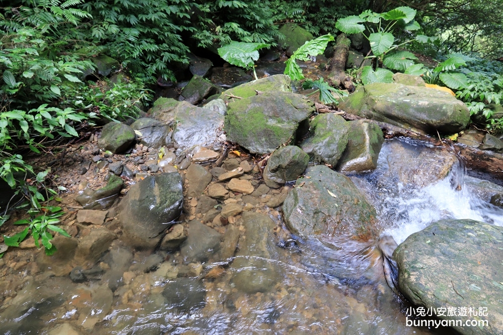 汐止【秀峰瀑布】來回三十分鐘入門級瀑布步道，大尖山自然景點
