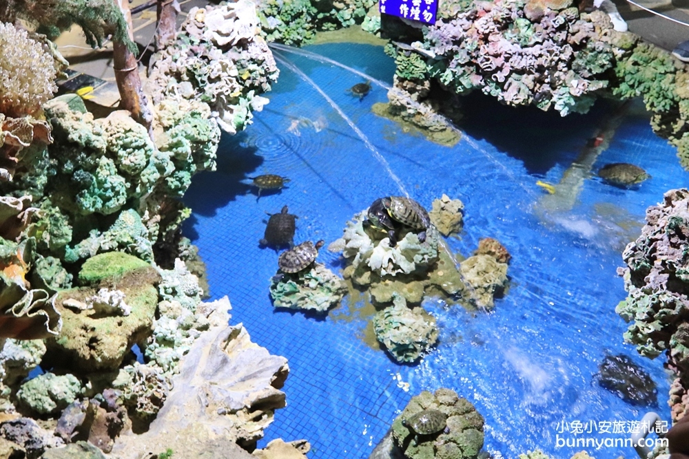 澎湖景點》竹灣大義宮(珊瑚洞)，已經沒有海龜回歸參拜廟宇。