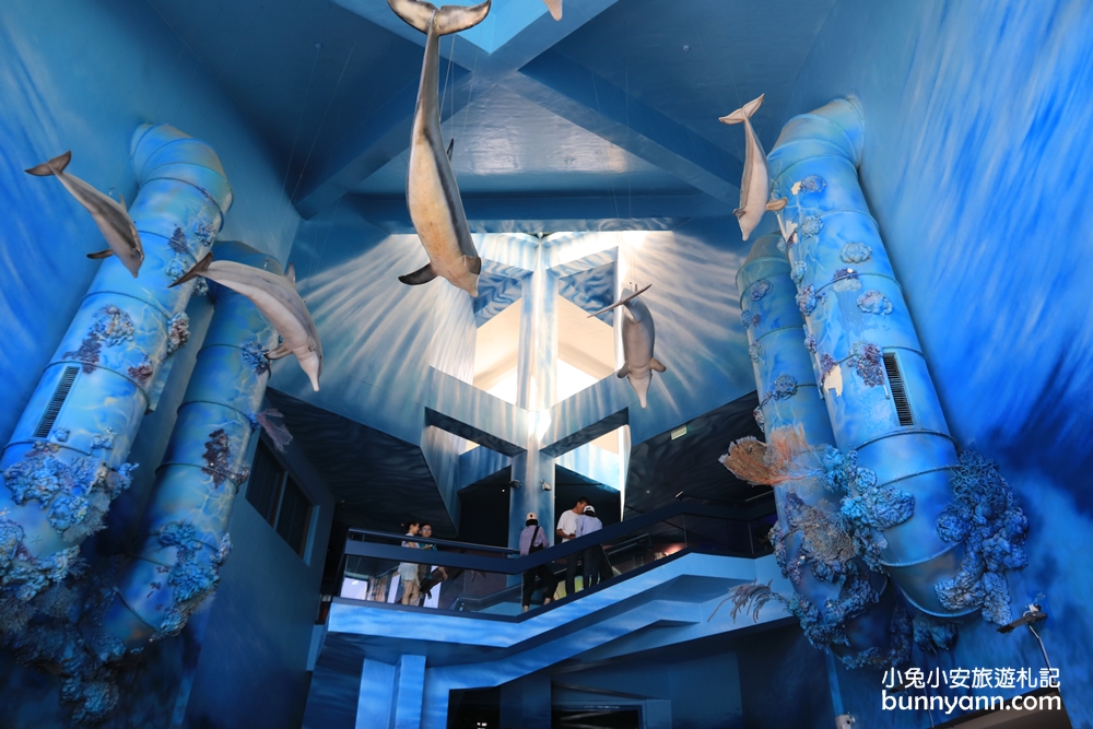 澎湖景點》美麗水下世界！澎湖水族館海底隧道，潛水員餵食秀，可愛水母寶寶都在這~
