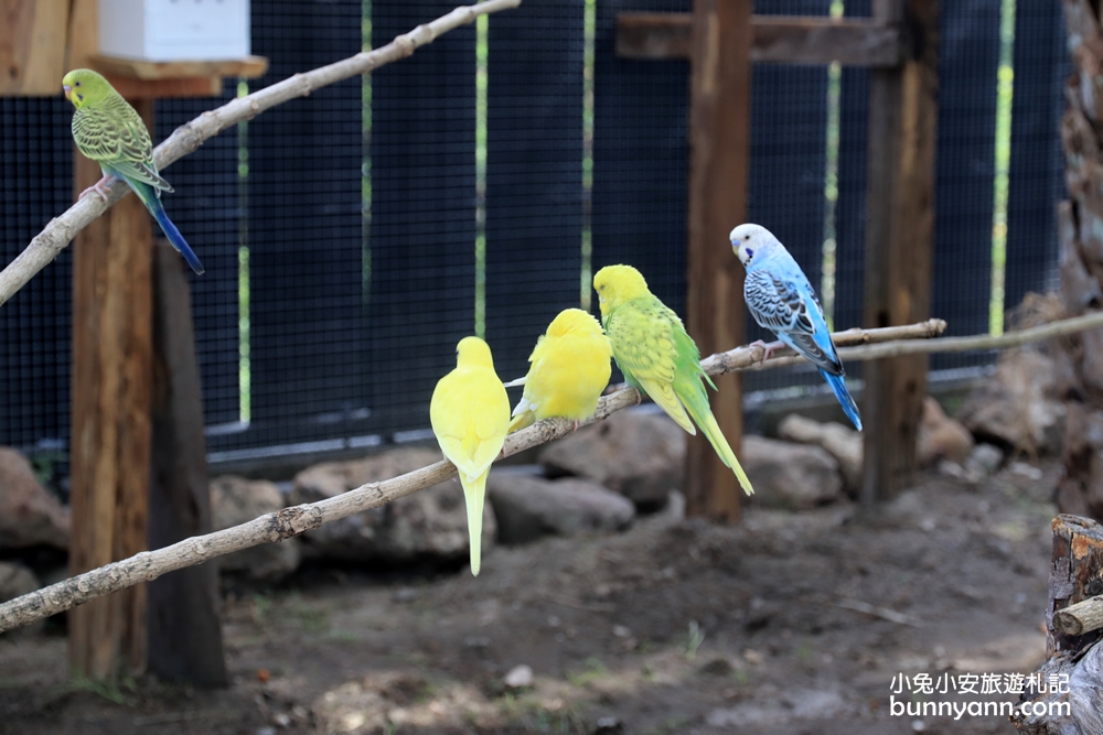 宜蘭》新玩法！綺麗觀光園區歡樂嘉年華，飄移卡丁車、鳥園餵鸚鵡、梅花鹿互動、蝴蝶館，快出發踩點去～
