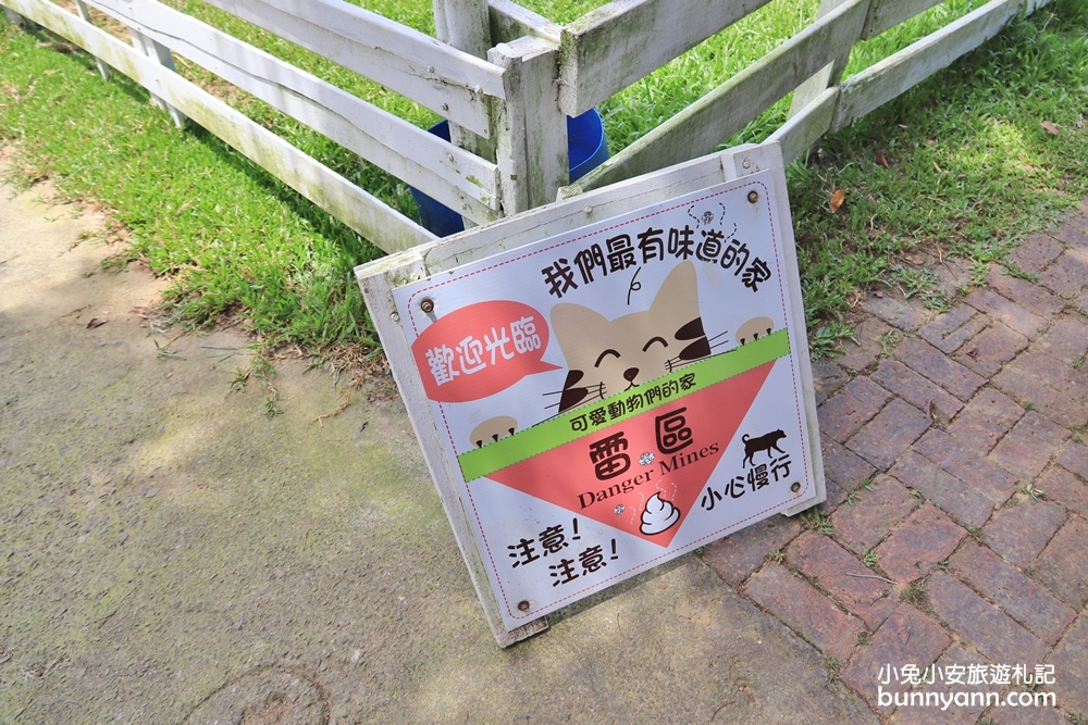 桃園大溪》富田花園農場，可愛羊駝、城堡、水上教堂一次拍個夠