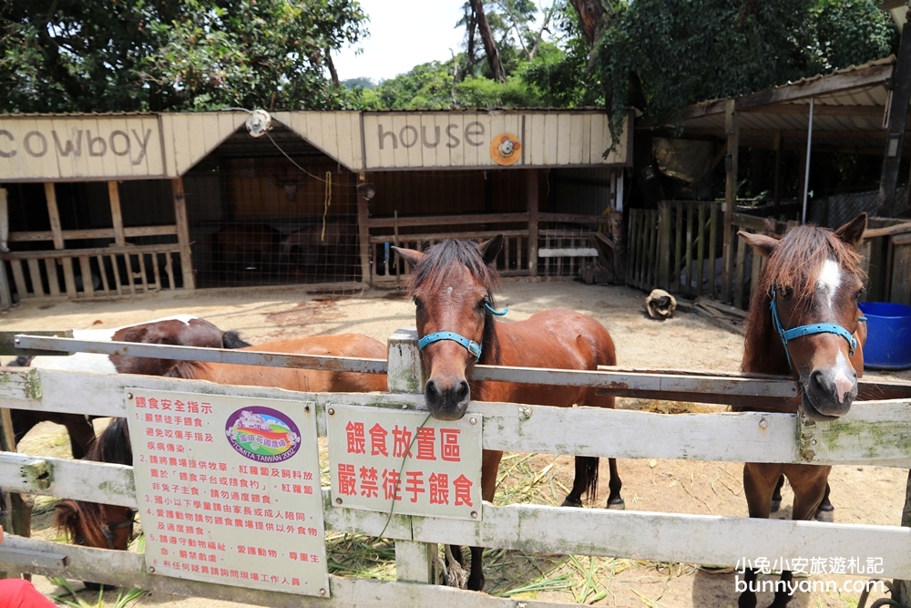 桃園大溪》富田花園農場，可愛羊駝、城堡、水上教堂一次拍個夠