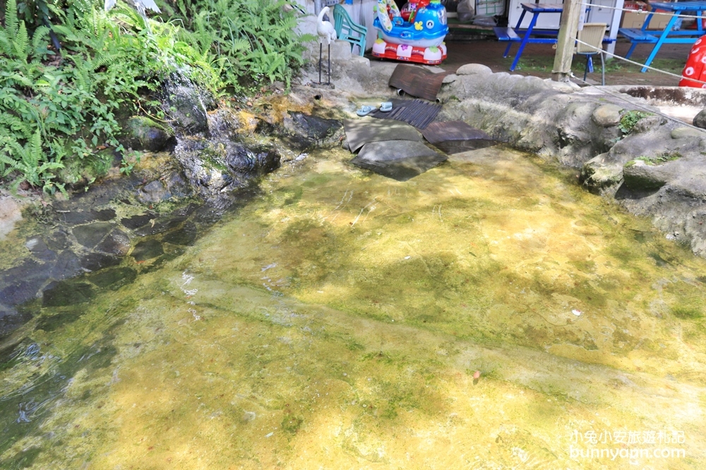 桃園大溪》富田花園農場，可愛羊駝、城堡、水上教堂一次拍個夠
