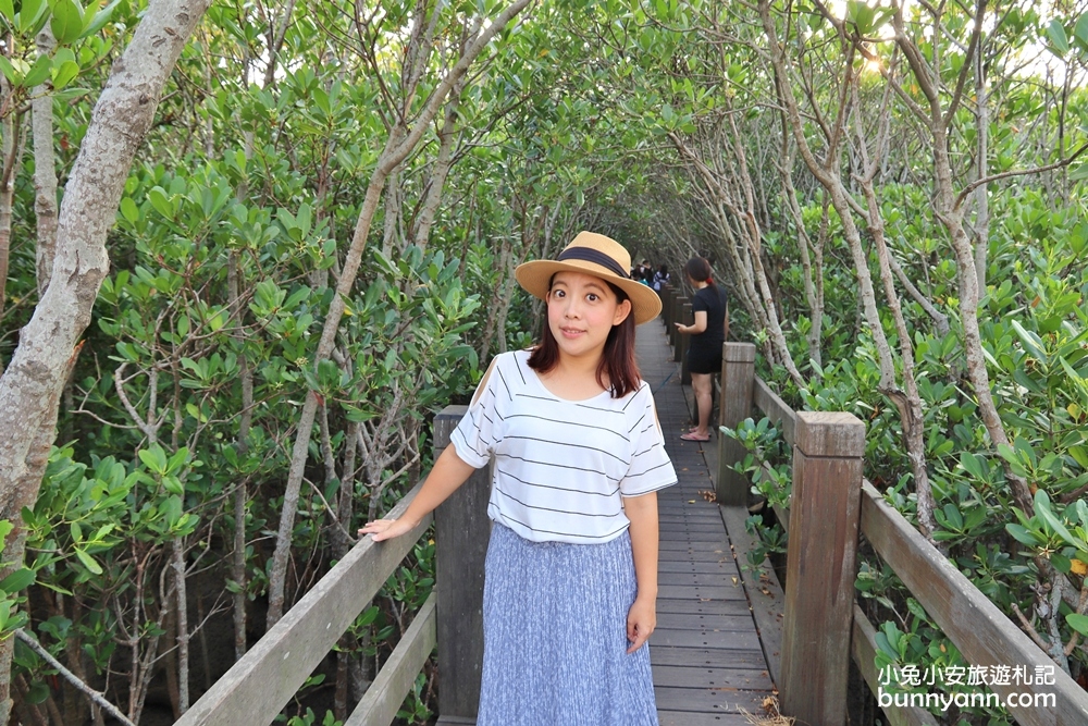 新竹景點》龍貓隧道！新豐紅樹林生態保護區，追逐濕地夕陽就來這～