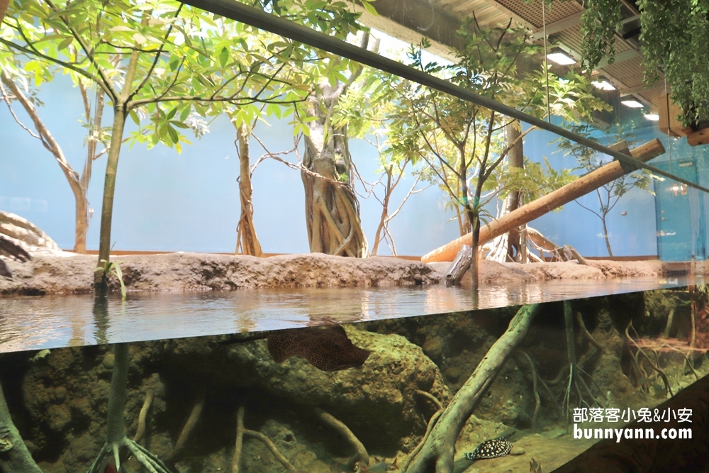 Xpark水族館雨林探險區