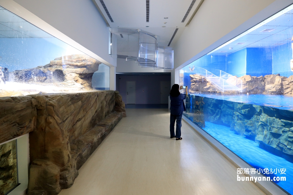 Xpark水族館企鵝