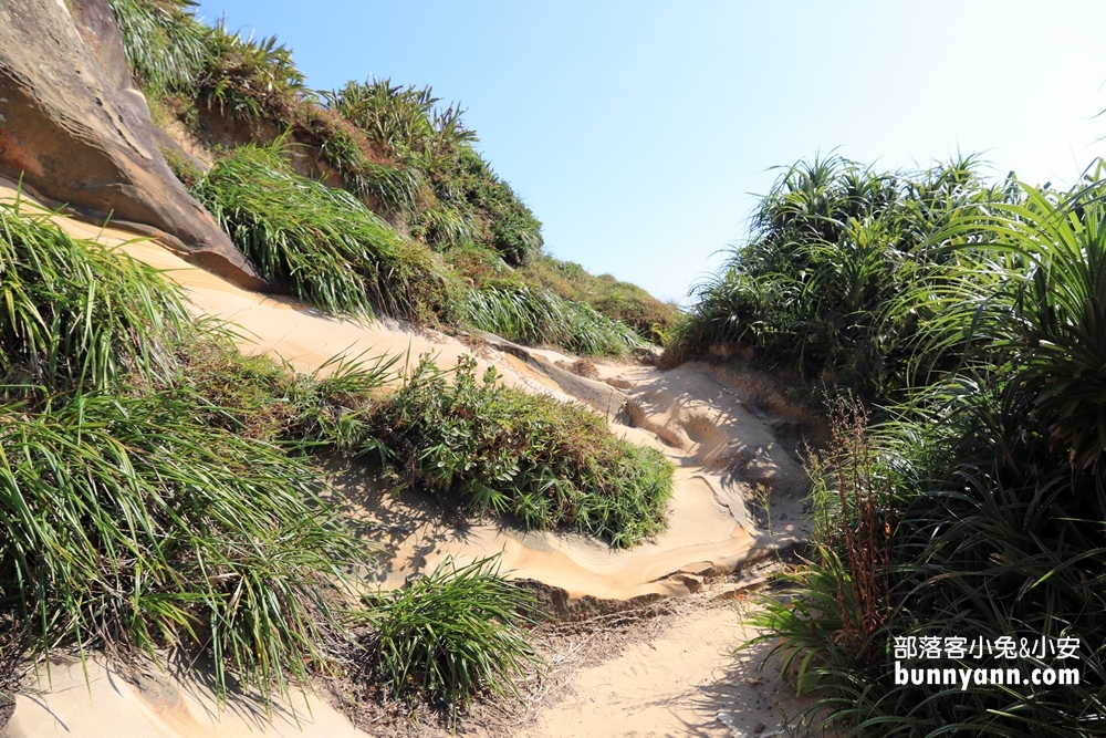 【駱駝峰】新北野柳維納斯海岸，十分鐘攻頂看海灣與湛藍九孔池