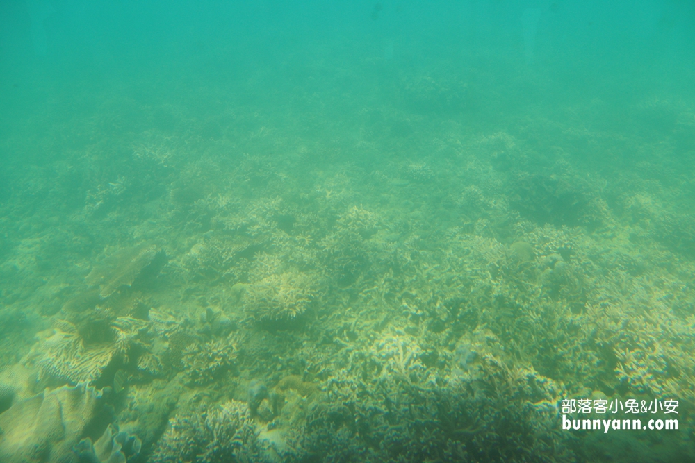 澎湖【海洋牧場】搭半潛艇前往海上皇宮，牡蠣隨你烤+釣海魚真好玩