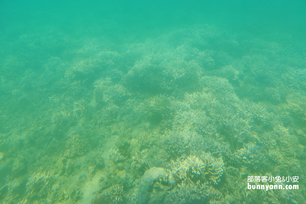 澎湖【海洋牧場】搭半潛艇前往海上皇宮，牡蠣隨你烤+釣海魚真好玩