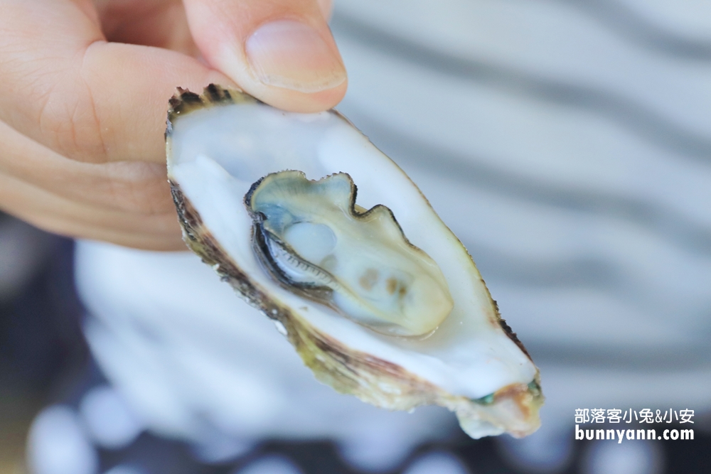 澎湖【海洋牧場】搭半潛艇前往海上皇宮，牡蠣隨你烤+釣海魚真好玩