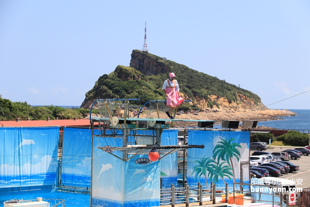 野柳海洋世界｜親子必訪新北景點！海豚互動、海洋展一次玩透透