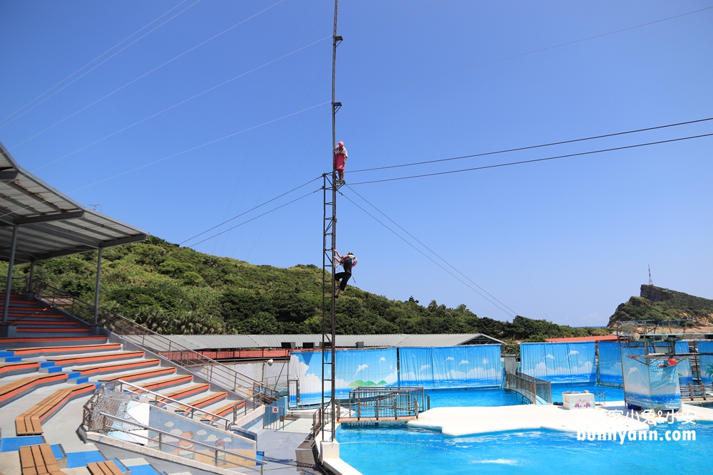 野柳海洋世界｜親子必訪新北景點！海豚互動、海洋展一次玩透透