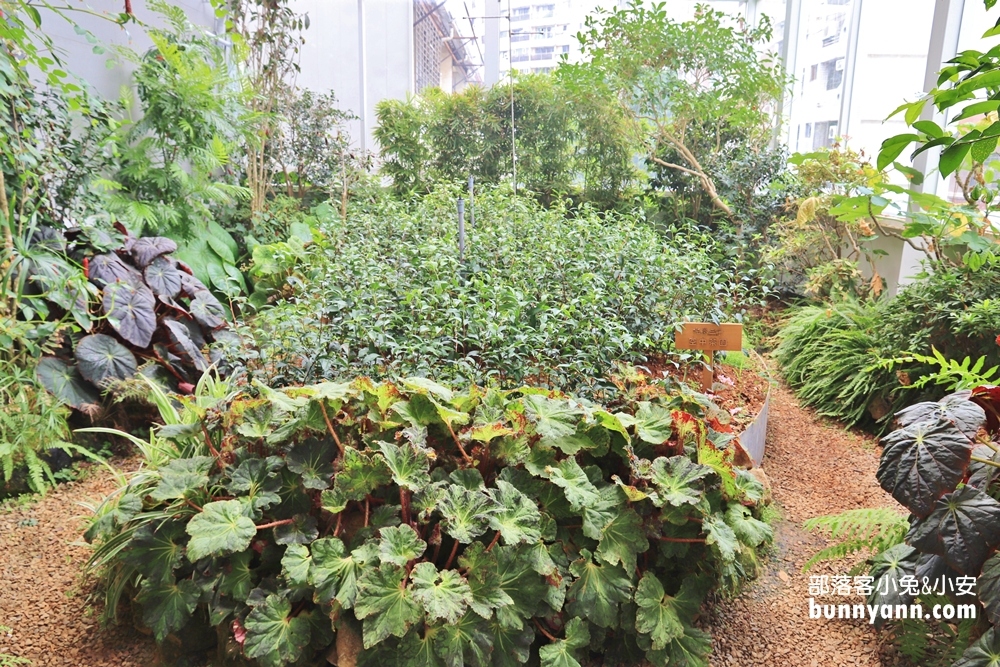 【台中】吃茶三千台灣概念店，推薦必喝國王珍珠奶茶