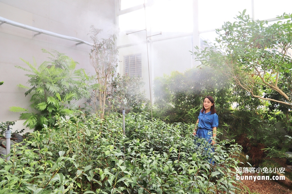 【台中】吃茶三千台灣概念店，推薦必喝國王珍珠奶茶