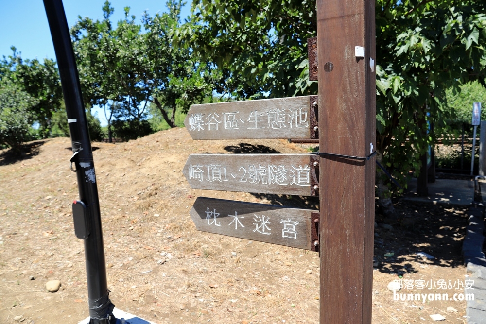 苗栗【崎頂隧道文化公園】崎頂子母隧道，假日踏青好去處