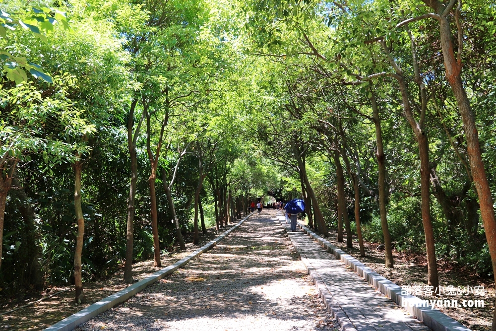 苗栗【崎頂隧道文化公園】崎頂子母隧道，假日踏青好去處