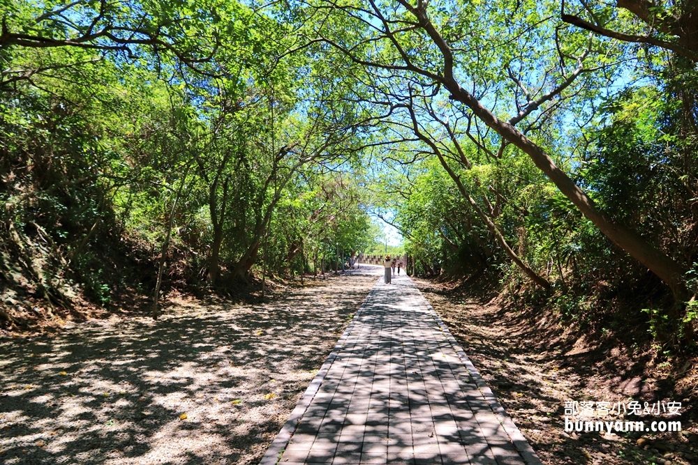 苗栗【崎頂隧道文化公園】崎頂子母隧道，假日踏青好去處