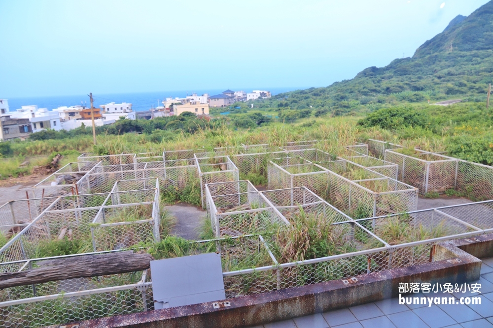 看海喝一杯「白日夢tea & cafe」發呆看海、漂流木迷宮，海景下午茶～