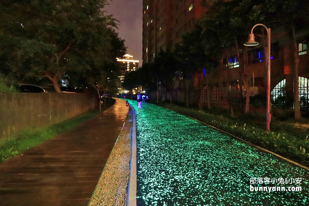 桃園》夜拍新景點！桃園陸地版綠眼淚新登場，彷彿銀河般夢幻，還能騎單車賞綠眼淚～