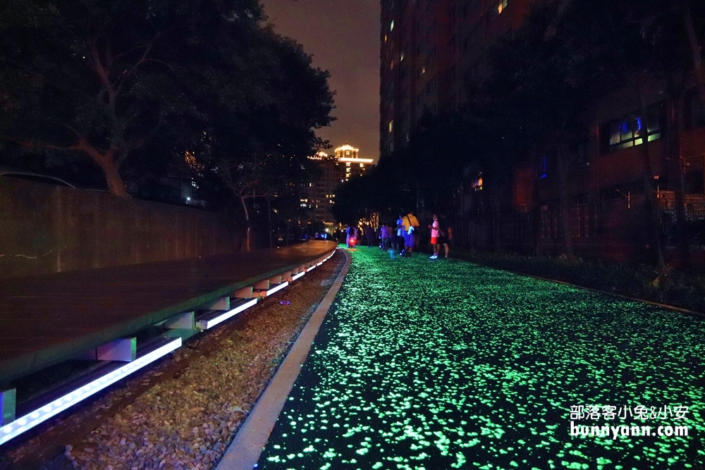 桃園》夜拍新景點！桃園陸地版綠眼淚新登場，彷彿銀河般夢幻，還能騎單車賞綠眼淚～