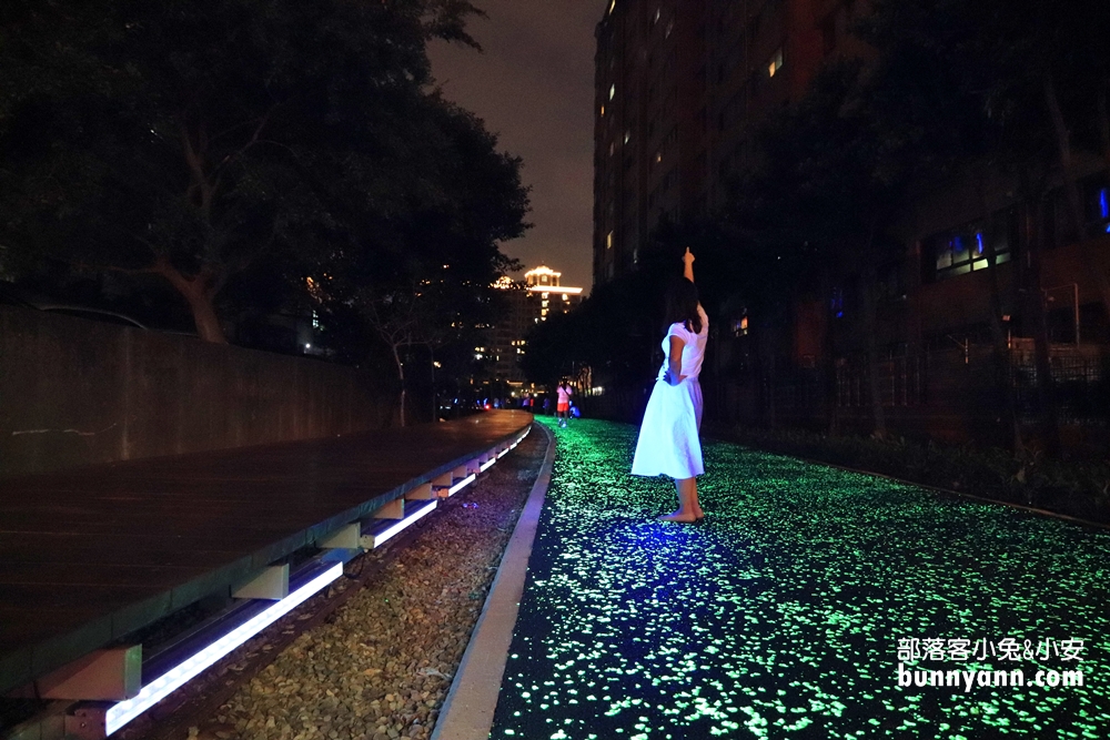 桃園》夜拍新景點！桃園陸地版綠眼淚新登場，彷彿銀河般夢幻，還能騎單車賞綠眼淚～